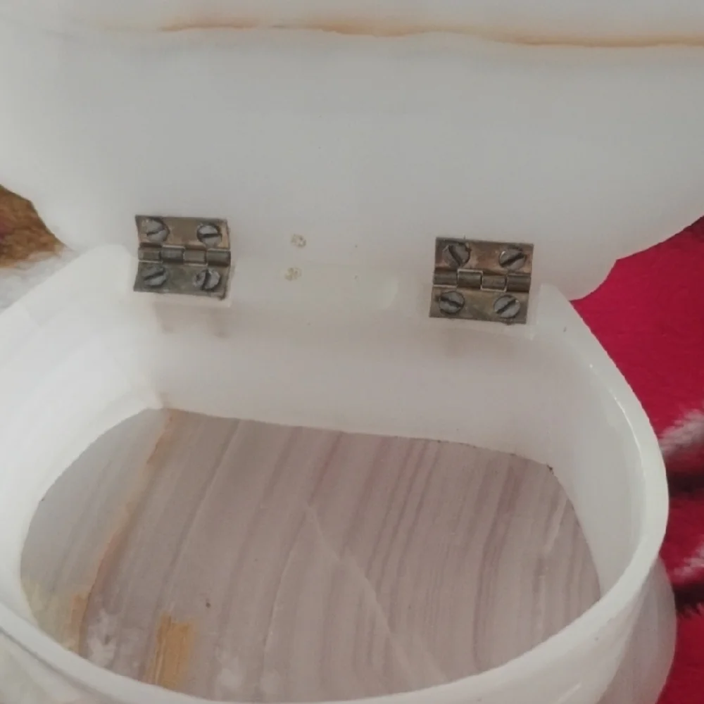 White Shell Design Bath Storage Box - Picture 6 of 9